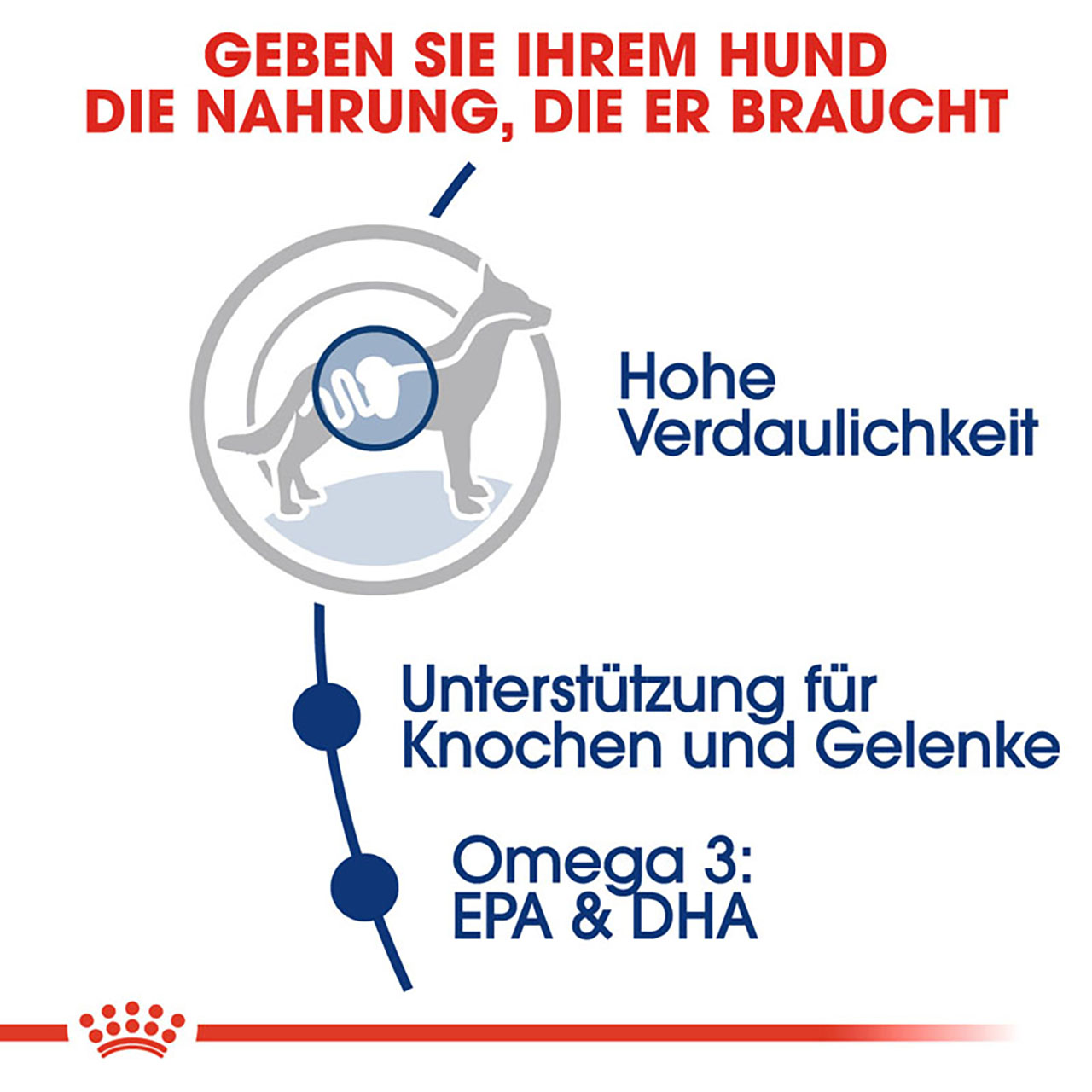 Royal Canin - SHN Maxi Adult - 1 x 4kg - 3