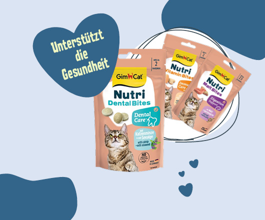 NEU bei uns: Funktional & schmackhaft