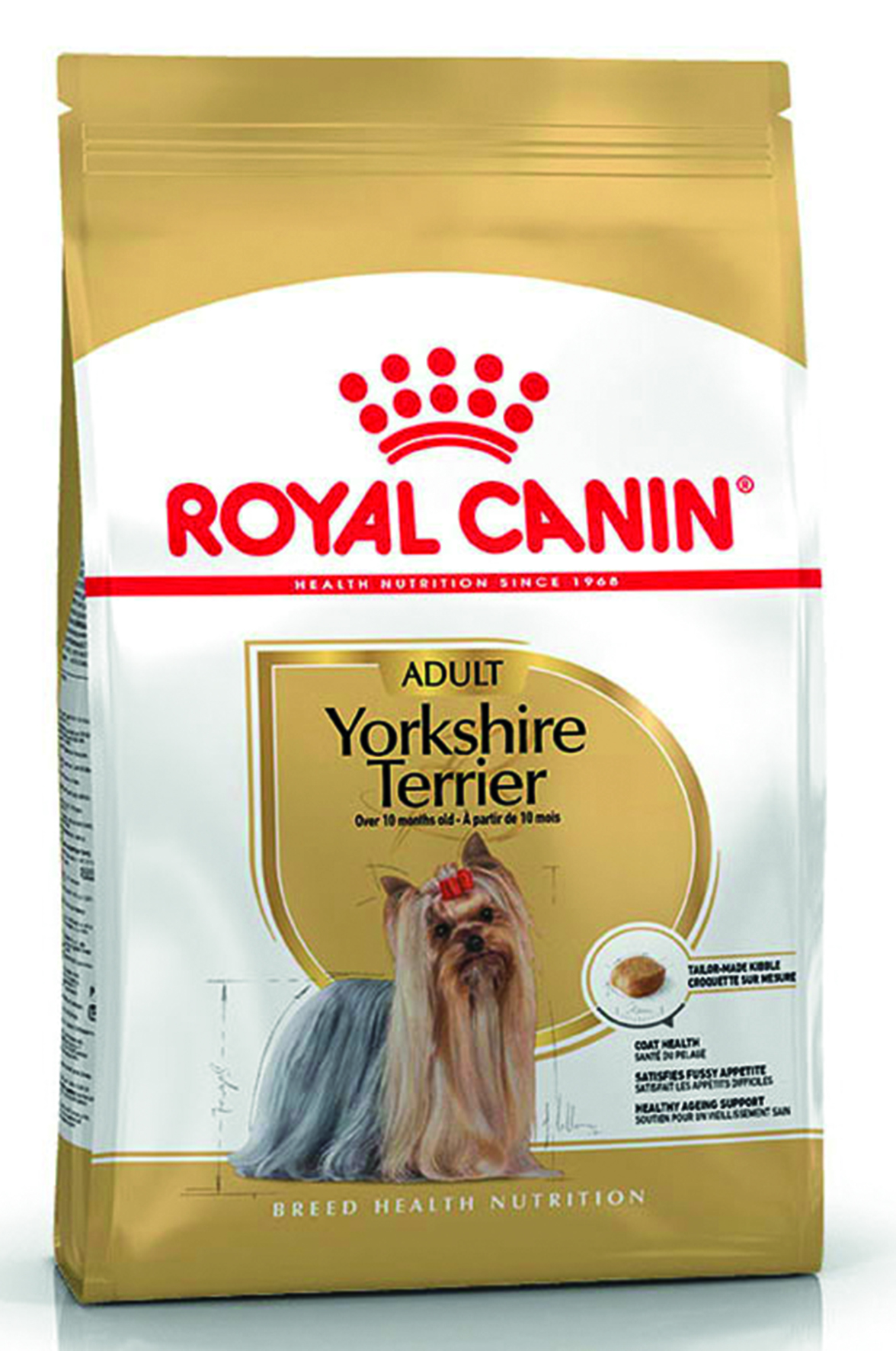 BHN Yorkshire Terrier Adult