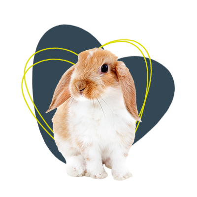 Kaninchen-mit-Herz-dunkelblau Kaninchen-mit-Herz-dunkelblau