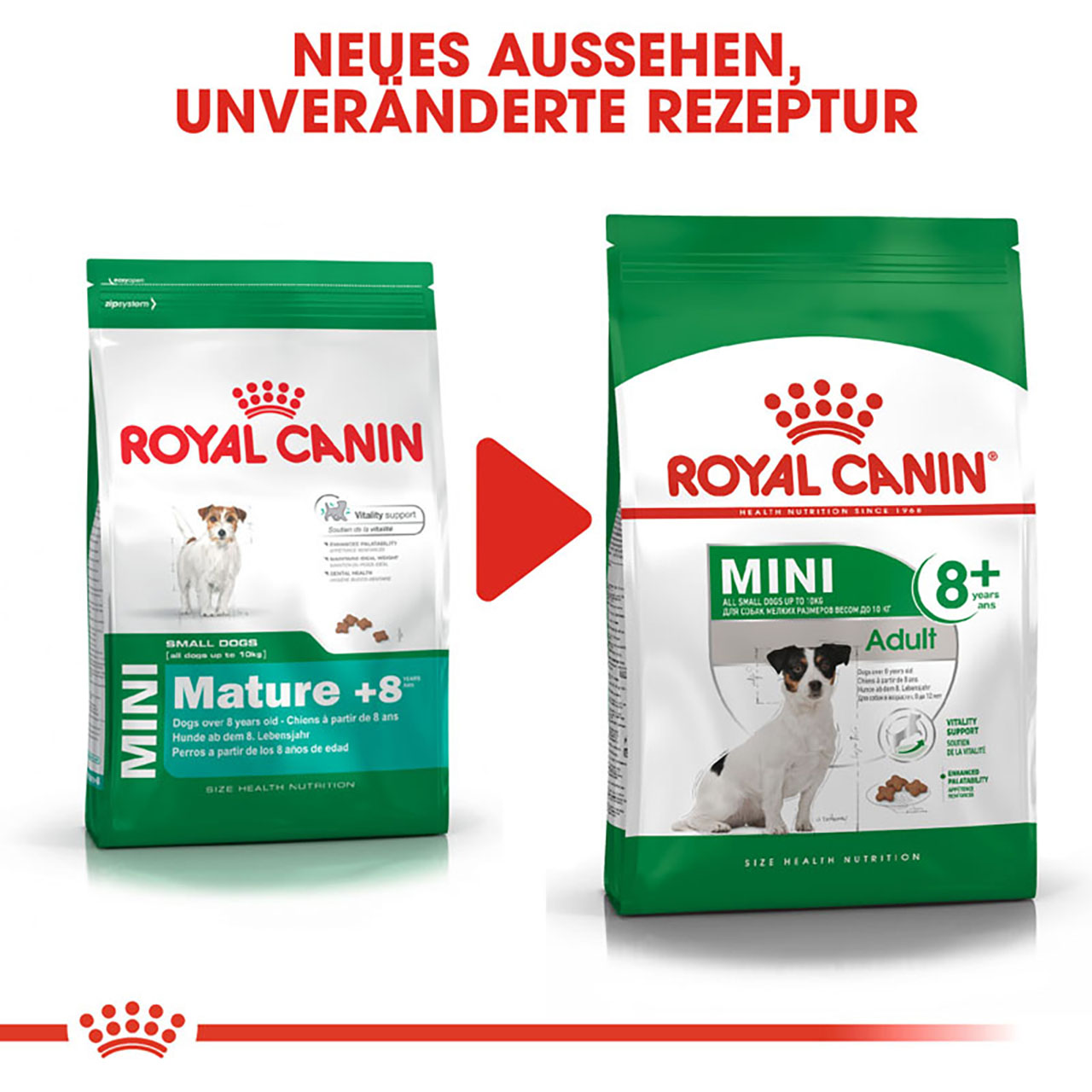 Royal Canin - SHN Mini Adult 8+ - 1 x 2kg - 5