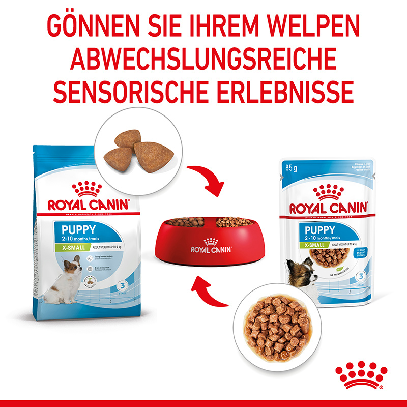 Royal Canin - SHN X-Small Puppy Gravy - 4