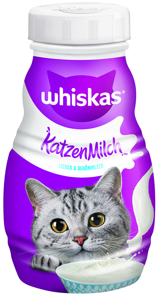 Katzen Milch