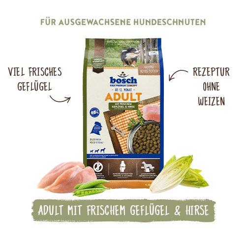 Bosch - Adult Geflügel & Hirse - 1 x 1kg - 1