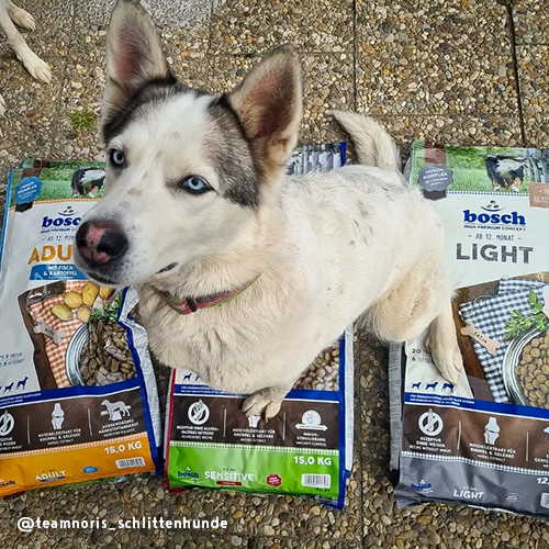 Bosch - Light - 1 x 1kg - 10