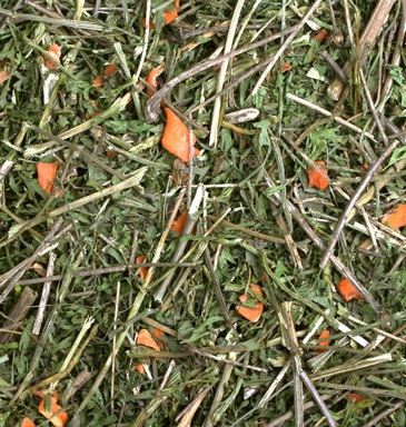 JR Farm - Möhrenkraut - 2