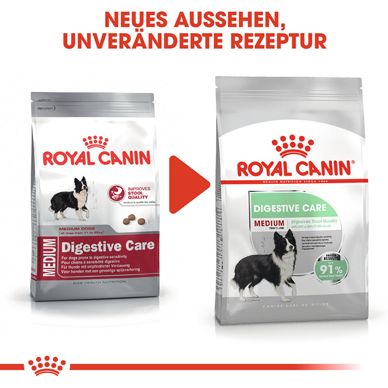 Royal Canin - CCN Digestive Care Medium - 1 x 3kg - 6