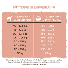 Bosch - Adult Lachs & Kartoffel - 5 x 1 kg - 4