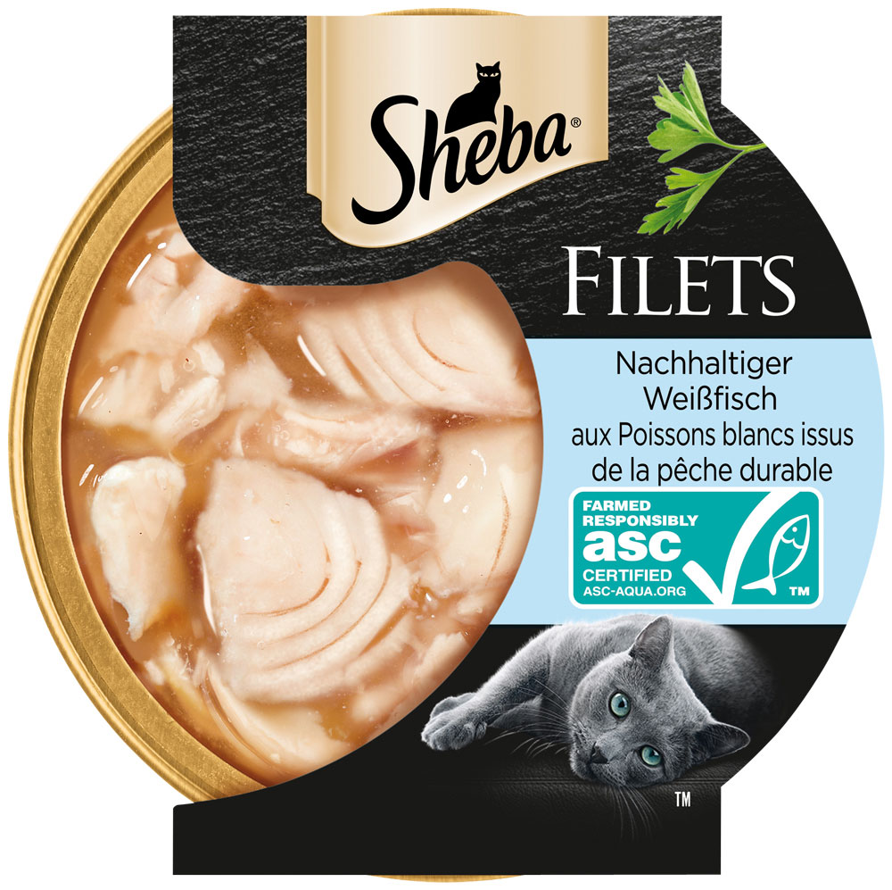 Filets mit Weißfisch