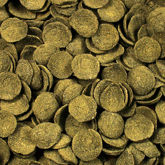 JR Farm - Kleesamen-Taler - 8 x 200g - 2