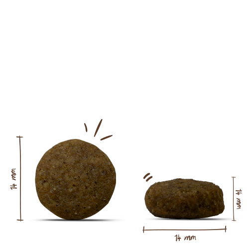 Bosch - Junior Lamm & Reis - 5 x 1 kg - 2