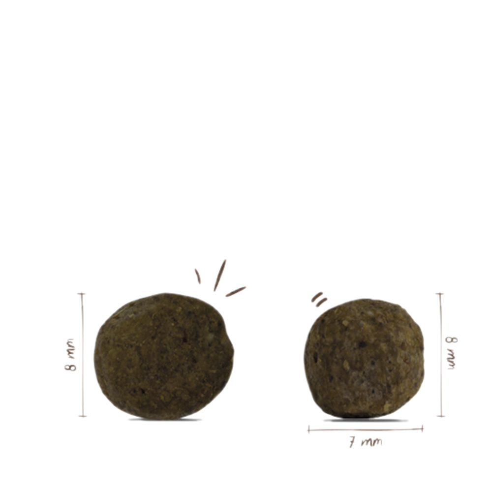 Bosch - Mini Junior - 1 x 15 kg - 2