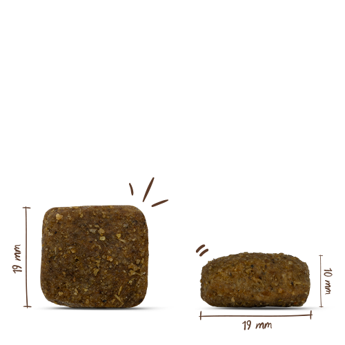 Bosch - Adult Maxi - 1 x 15 kg - 4