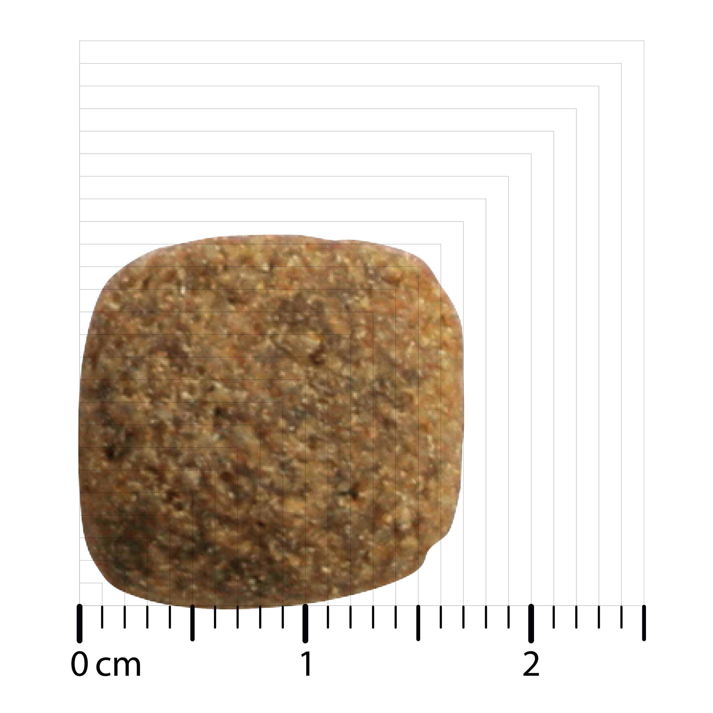Bozita - Original Adult Senior - 1 x 12kg - 3