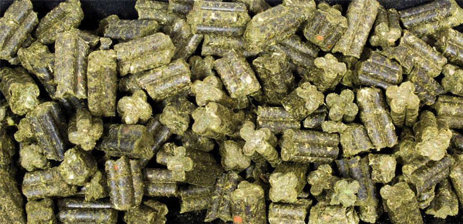 JR Farm - Grainless Complete Zwergkaninchen - 1 x 1350 g - 2