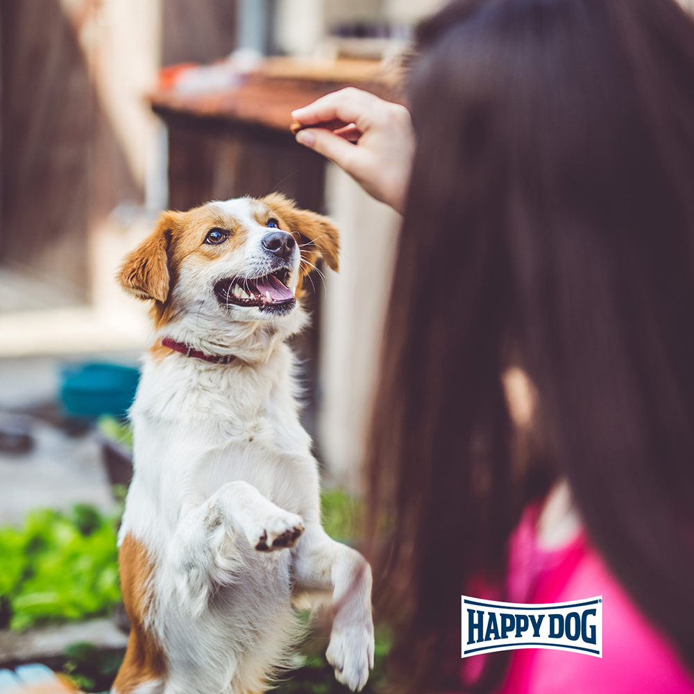Happy Dog - Meat Snack Lüneburger Heide - 5