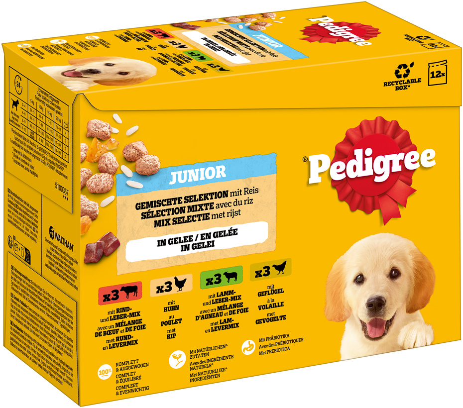 Pedigree - MP Junior in Gelee - 1