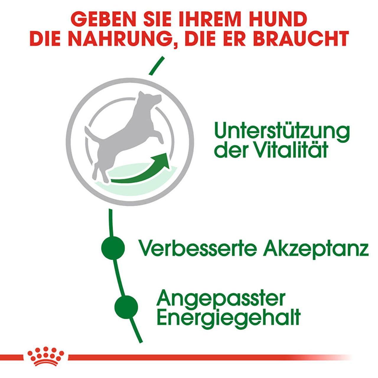 Royal Canin - SHN Mini Adult 8+ - 1 x 2kg - 3