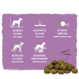 Bosch - Senior - 1 x 1 kg - 3