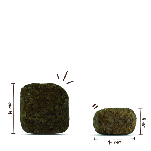 Bosch - Medium Junior - 5 x 1 kg - 5