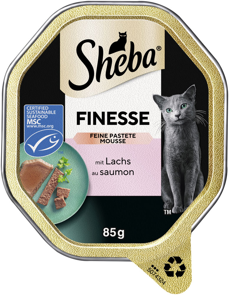 Finesse Feine Pastete mit Lachs