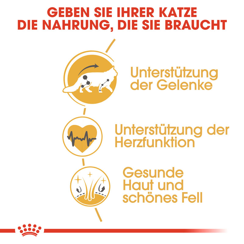 Royal Canin - FBN Maine Coon Adult - 1 x 2kg - 3