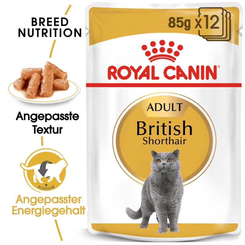 FBN British Shorthair Adult Gravy FBN British Shorthair Adult Gravy