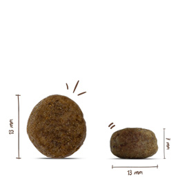 Bosch - Light - 1 x 12500 g - 6