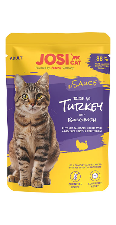 JC rich in Turkey in S.