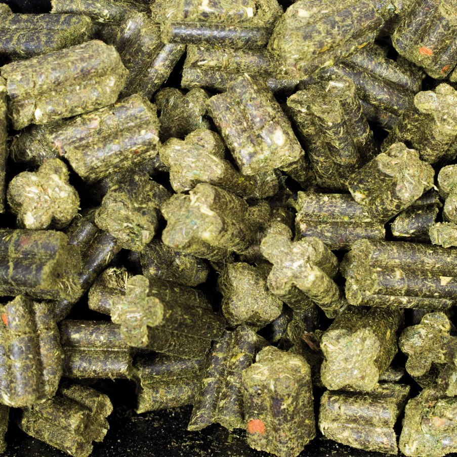 JR Farm - Grainless Complete Meerschweinchen - 6 x 1.35 kg - 2