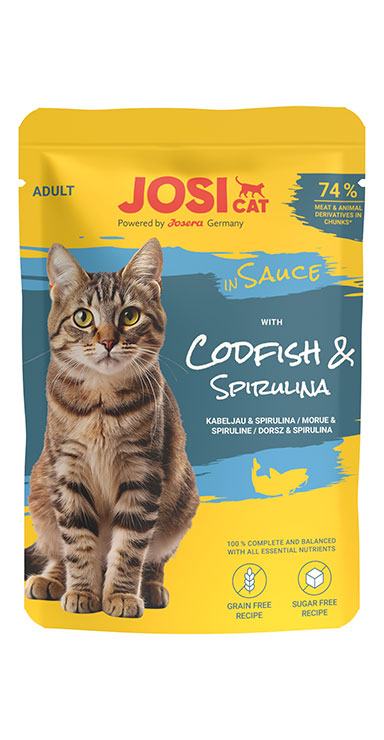 JC with Codfish in S.