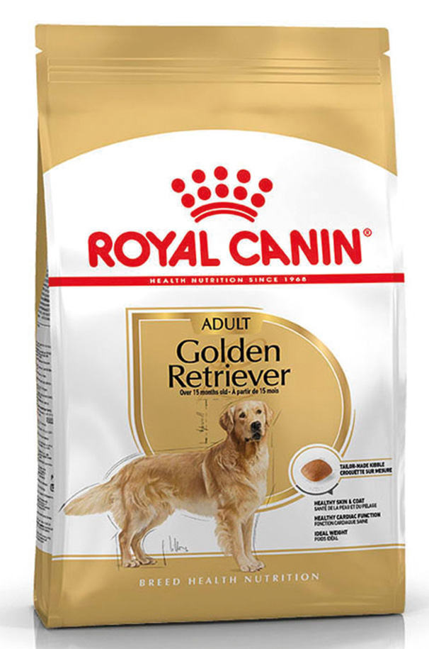 BHN Golden Retriever Adult