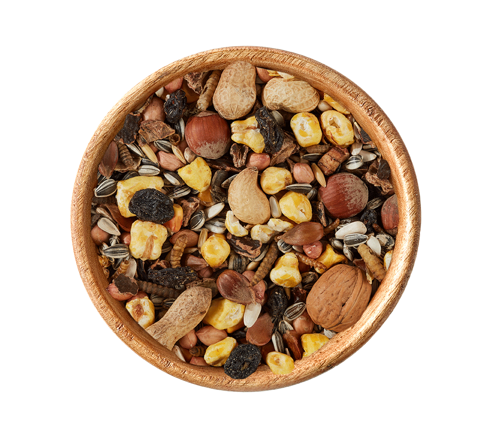 elles-Eichhörnchen-Mix-in-Schale elles-Eichhörnchen-Mix-in-Schale