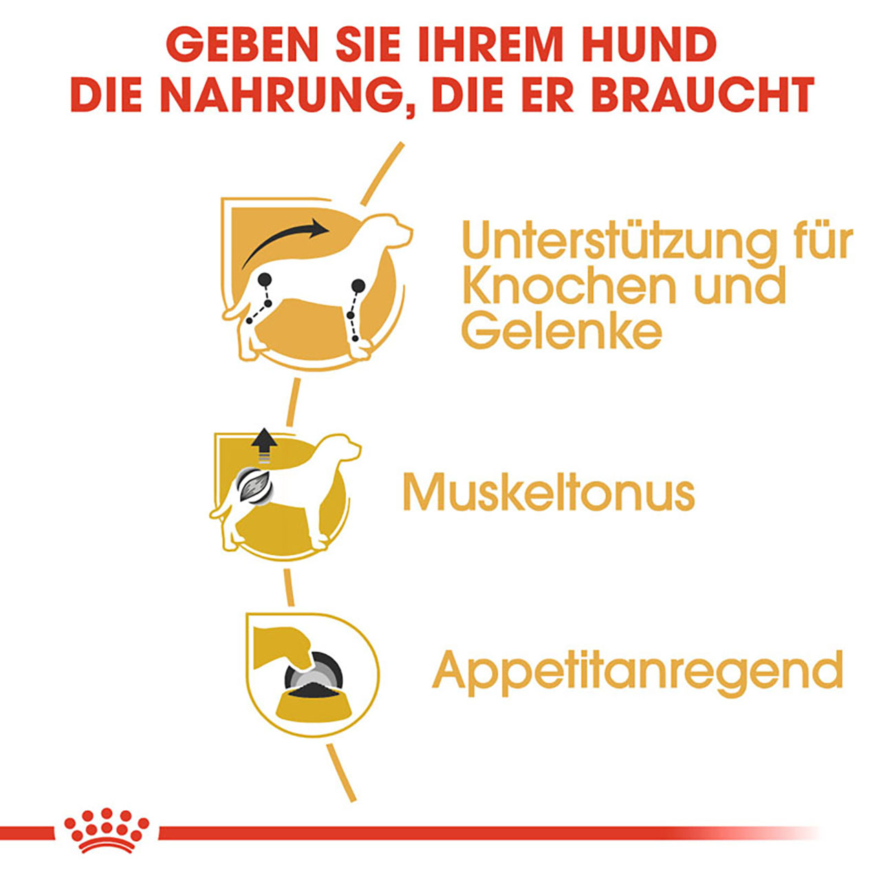 Royal Canin - BHN Dachshund AdultLoaf - 3