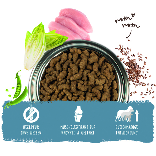 Bosch - Maxi Junior - 1 x 15 kg - 2