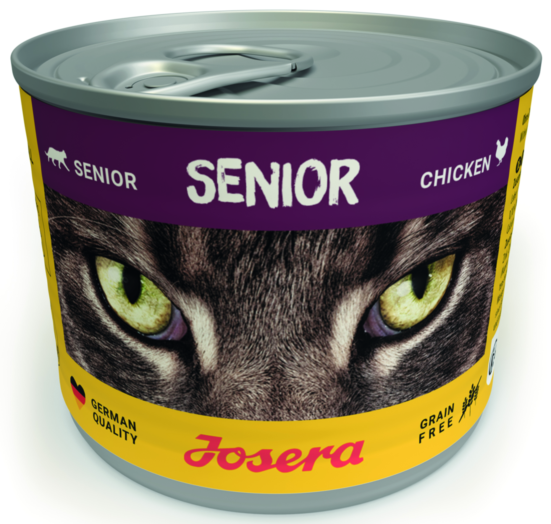 Cat Senior