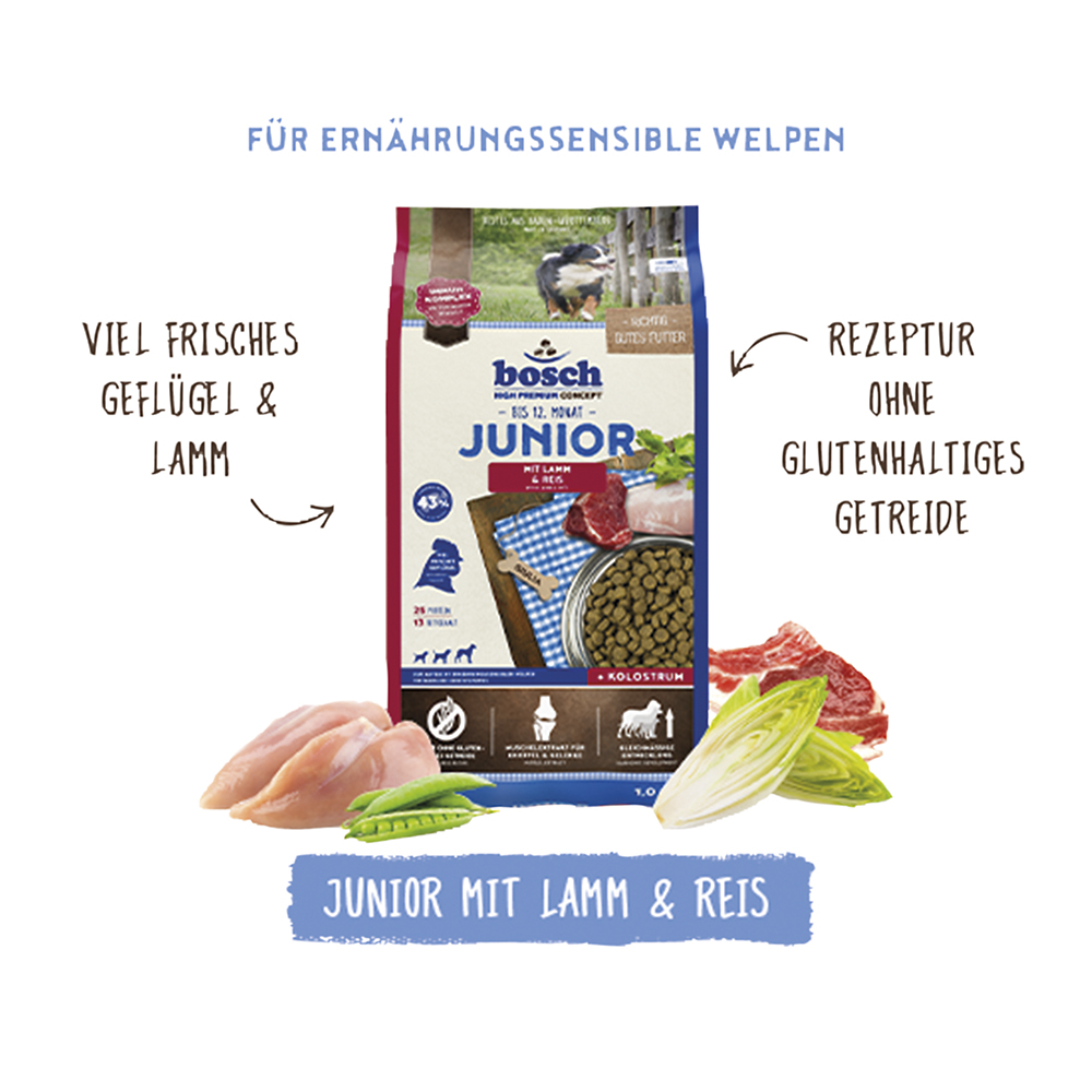 Junior Lamm & Reis