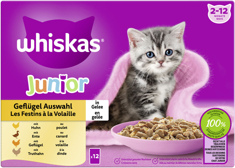 Whiskas Multipack Junior Geflügel Auswahl in Gelee Whiskas Multipack Junior Geflügel Auswahl in Gelee