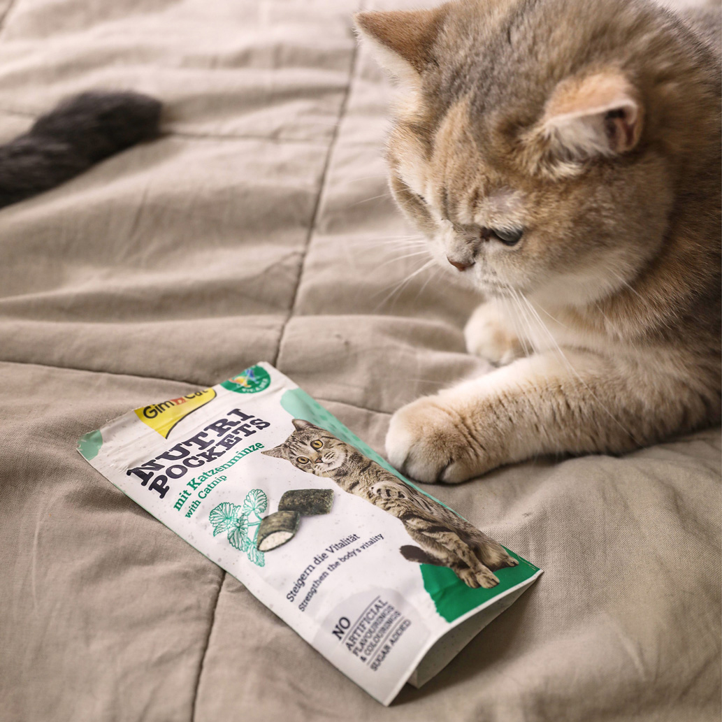 GimCat - Nutri Pocket mit Katzenminze - 1 x 60 g - 5