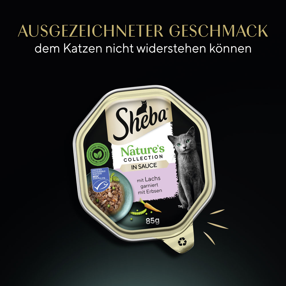 Sheba - Natures Collection in Sauce mit Lachs - 22 x 85 g - 2