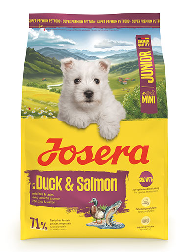 Mini Junior Duck & Salmon