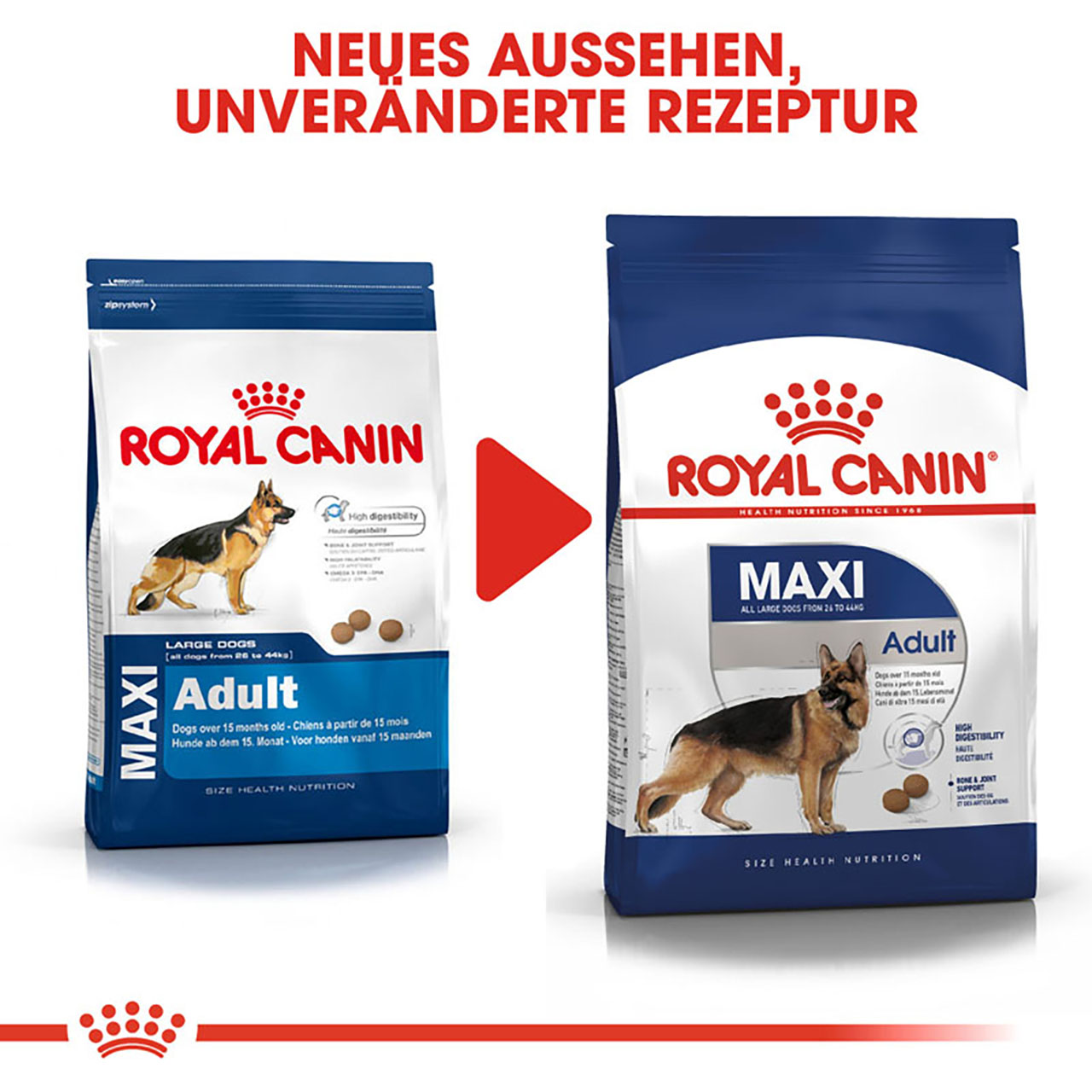 Royal Canin - SHN Maxi Adult - 1 x 4kg - 6