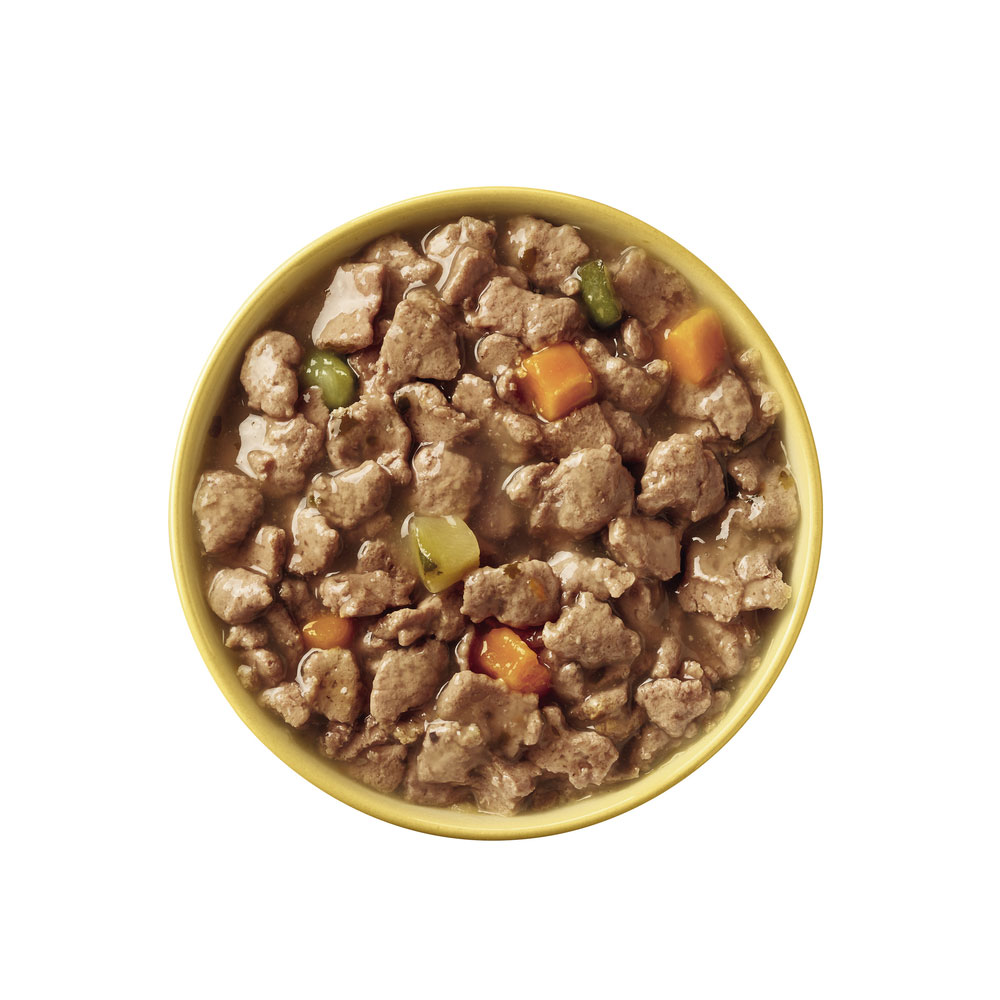 Cesar - Goodness MP Casserole mit Huhn, Fisch, Rind, getreidefrei - 1 x 24X100g - 10