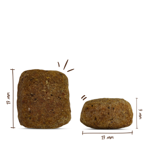Bosch - Maxi Senior Geflügel & Reis - 4 x 2,5kg - 2