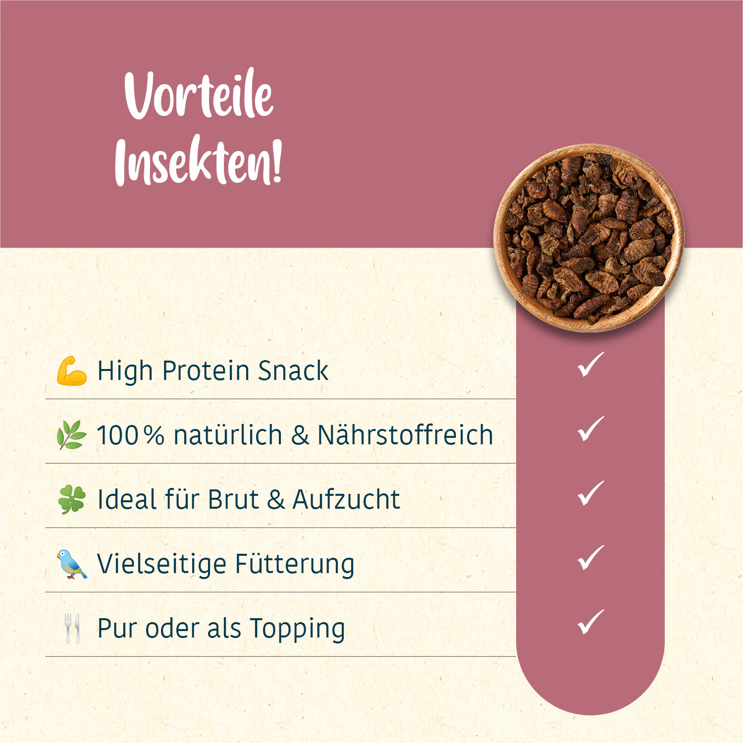 elles - Seidenraupen 10kg - 2