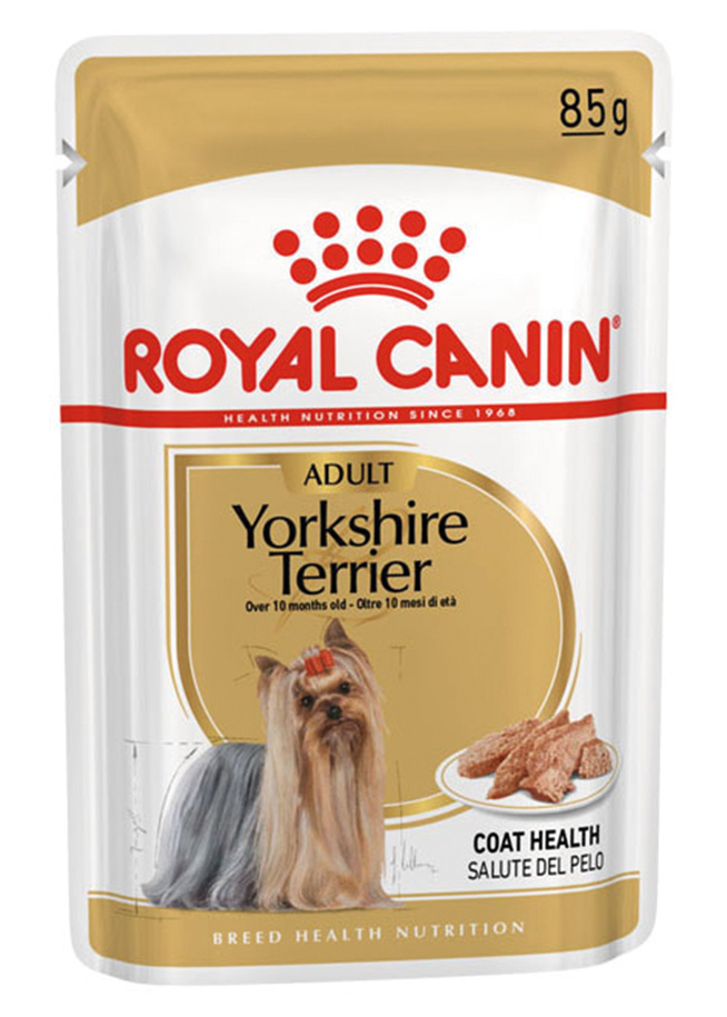 BHN YorkshTerrierAdLoaf