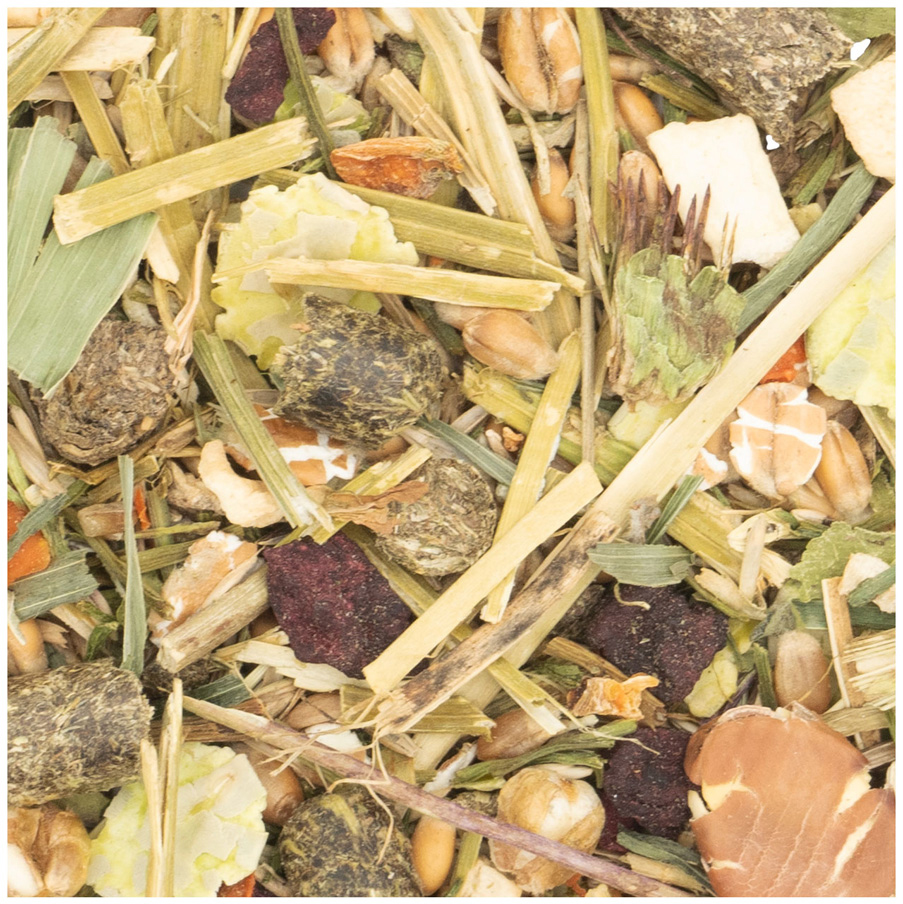 JR Farm - Degu-Schmaus - 1 x 800 g - 2