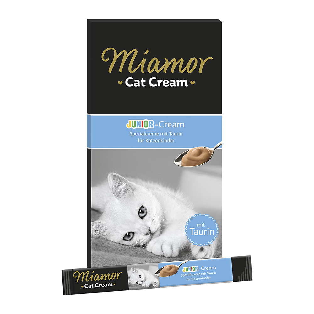 Cat Junior-Cream