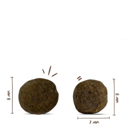 Bosch - Mini Light - 5 x 1000 g - 2