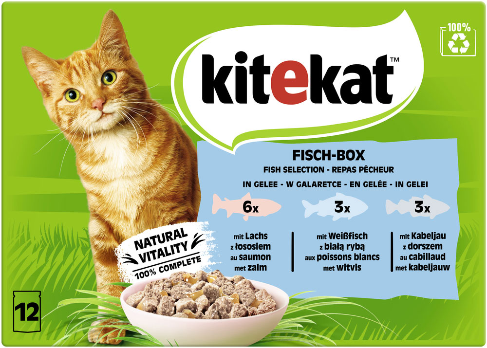 MP Fischbox in Gelee